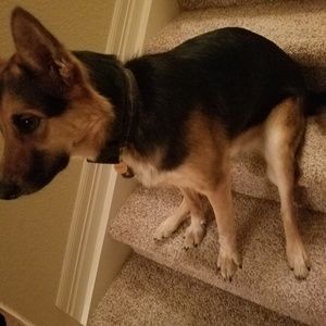 Meet your Posher, Lori